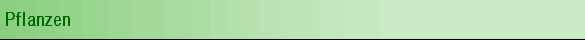 Pflanzen